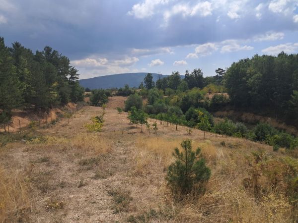 OSMANGAZ� K���KDEL�LLER DE SATILIK CEV�Z BAH�ES� (6.363 M2)