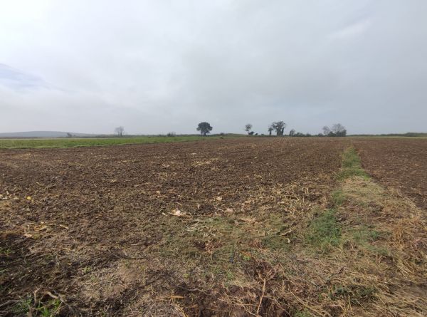 Bursa M.K.Pa�a Tepecik'te Sat�l�k Tarla (8.550 m2)