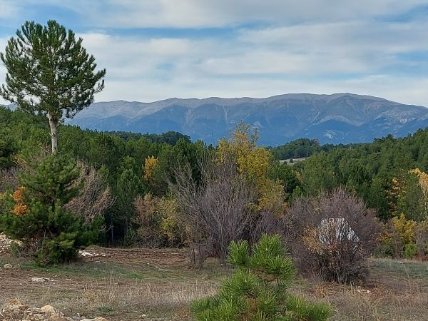 ULUDA� MANZARALI KELES'TE SATILIK TARLA 1.986 M2